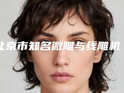 北京市知名微雕与线雕机构排行-微雕与线雕价格大约要多少钱呢