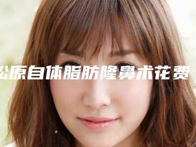 松原自体脂肪隆鼻术花费的费用是多少