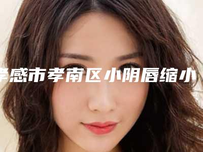孝感市孝南区小阴唇缩小医院排行榜前五强(TOP9)速来围观-孝感市孝南区小阴唇缩小哪位医院效果好又便宜